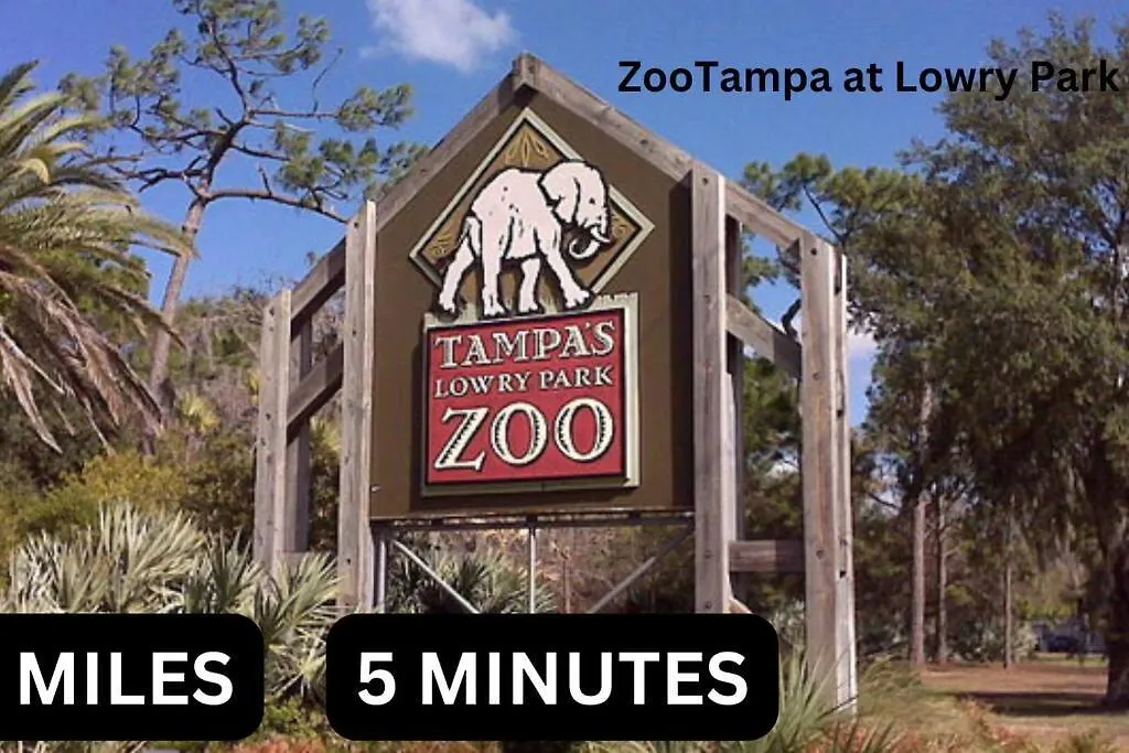 Welcome To Tranquility House Tampa